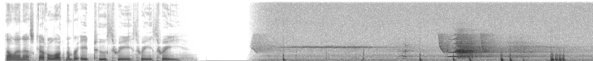 kakadu žlutočečelatý - ML82333