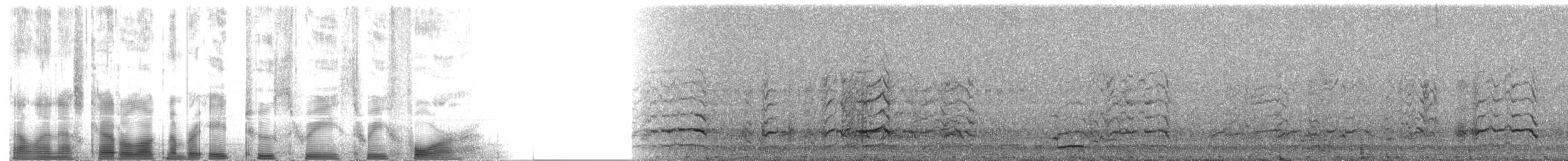 kakadu inka - ML82334