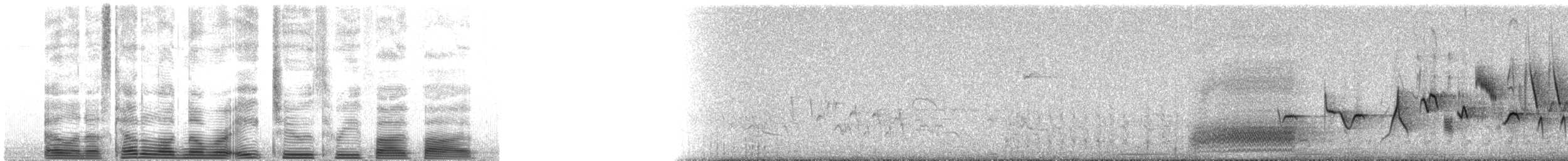 ořešník americký - ML82355