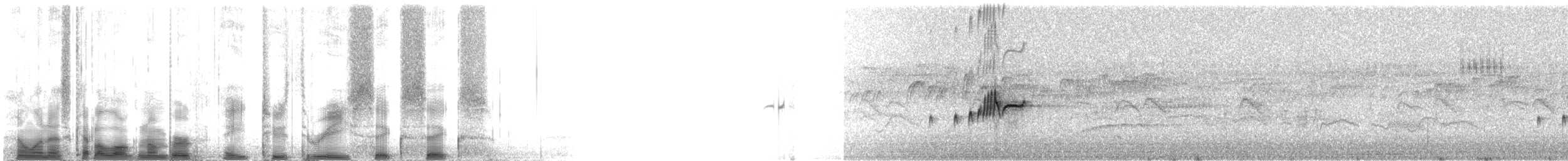 Vermilion Flycatcher (saturatus) - ML82366