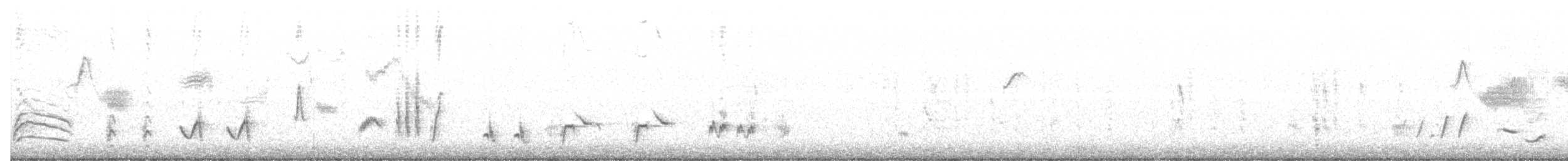 Krummschnabel-Spottdrossel [palmeri-Gruppe] - ML82435891