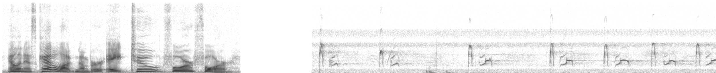 Морщинистоклювая ани - ML8244