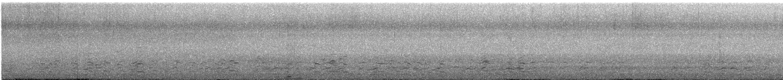 אווז לבן-מצח (מערבי) - ML82449641