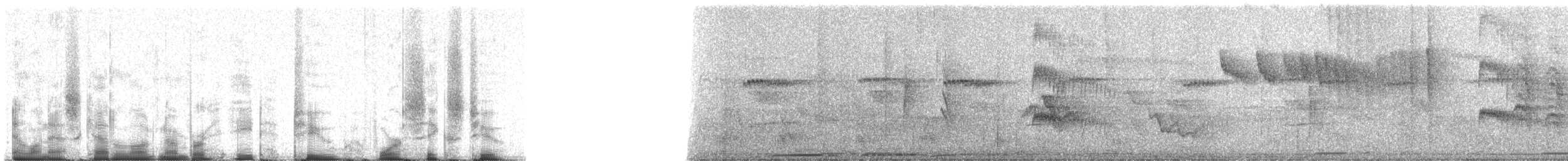 Graubrust-Schnäppertyrann - ML82462