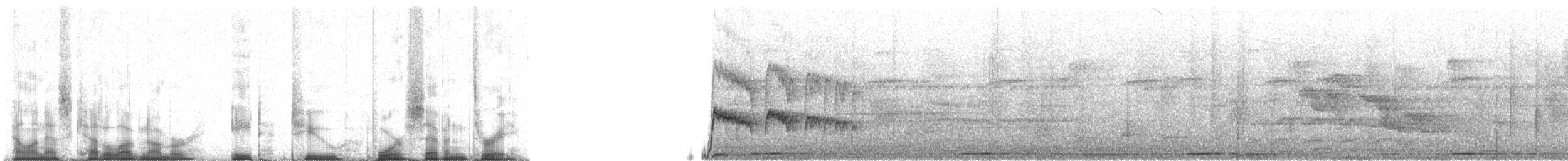 Graubrust-Schnäppertyrann - ML82473