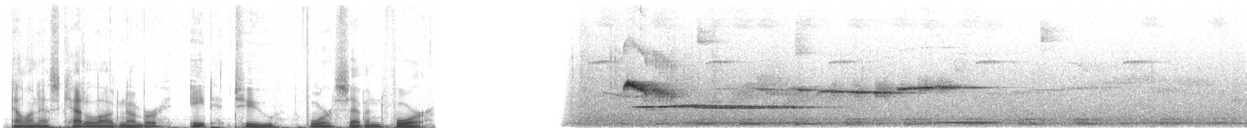 Graubrust-Schnäppertyrann - ML82474