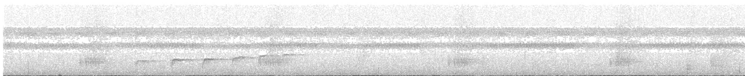 Schwarzbrust-Ameisenfänger - ML82505361