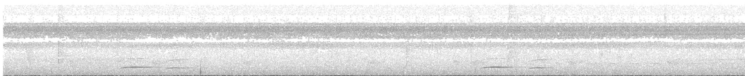 Тиран-плоскодзьоб малий - ML82505931