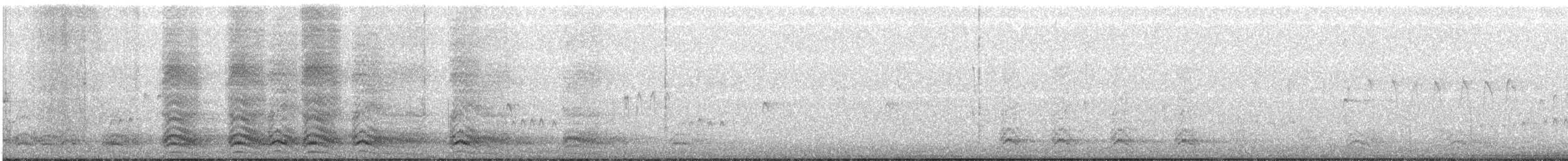 American Crow - ML82527511