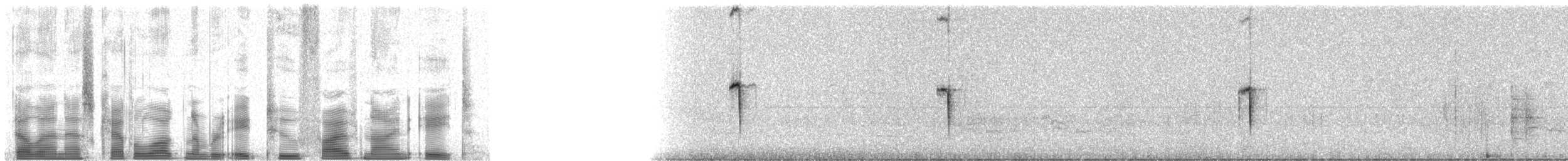 Большой галапагосский вьюрок - ML82598