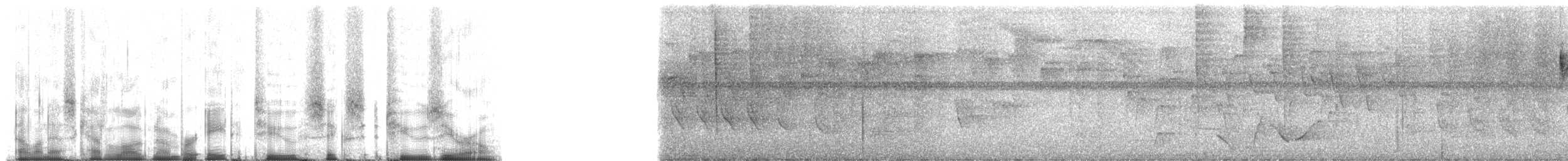 Three-striped Warbler (daedalus) - ML82620