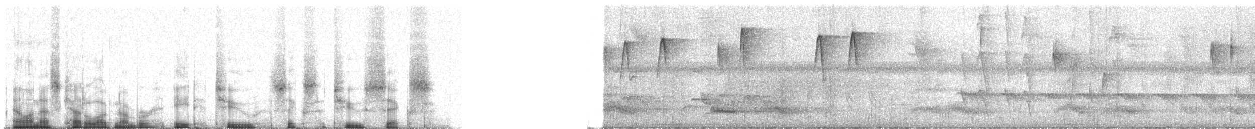 Cryptic Becard - ML82626