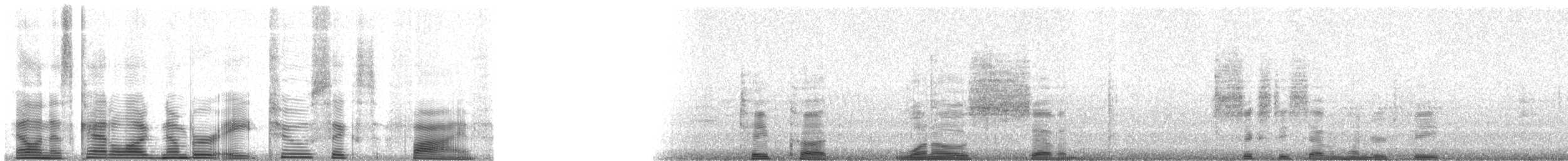 Indian Cuckoo - ML8265