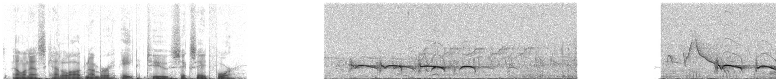 flekkdovenfugl (striatipectus) - ML82684