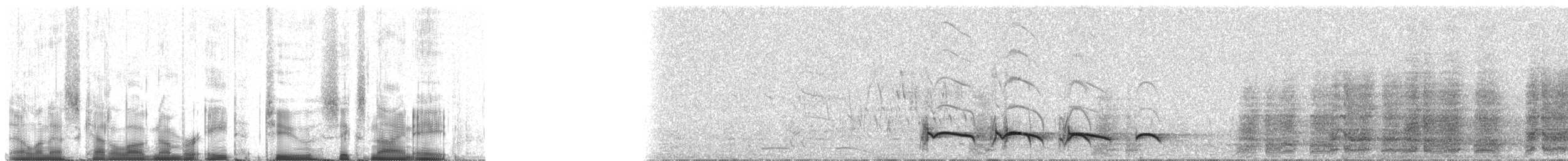 Spot-backed Puffbird (Chaco) - ML82698