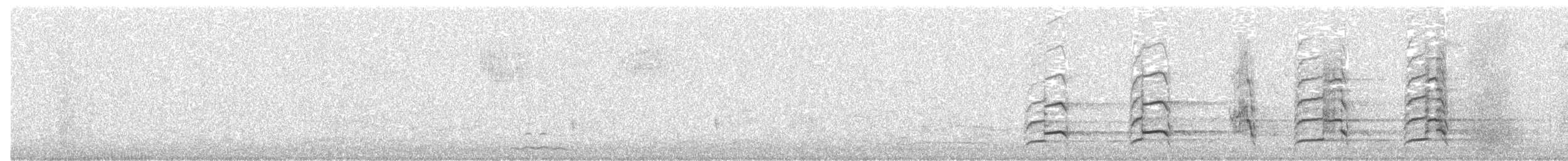 orel bělohlavý - ML82922381
