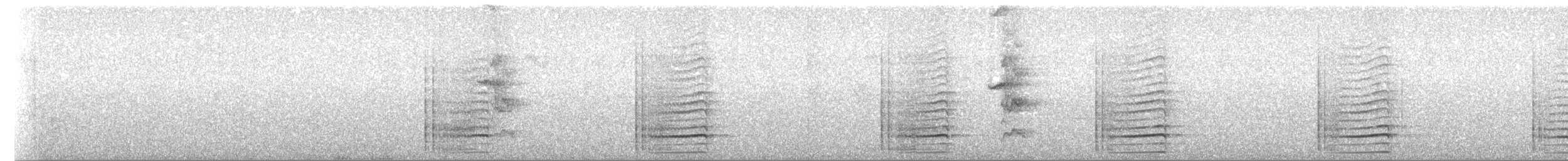 Schwarzschnabeltukan - ML82956551