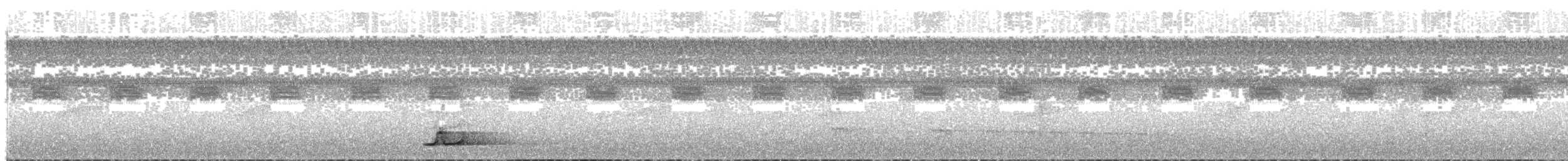 Tinamou à calotte noire - ML83023031
