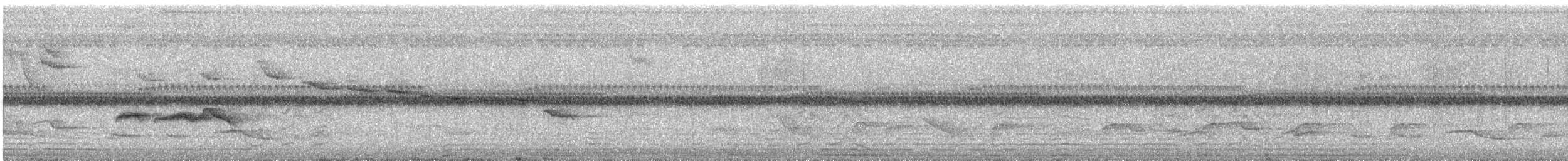 Strichelrücken-Ameisenfänger - ML83032431