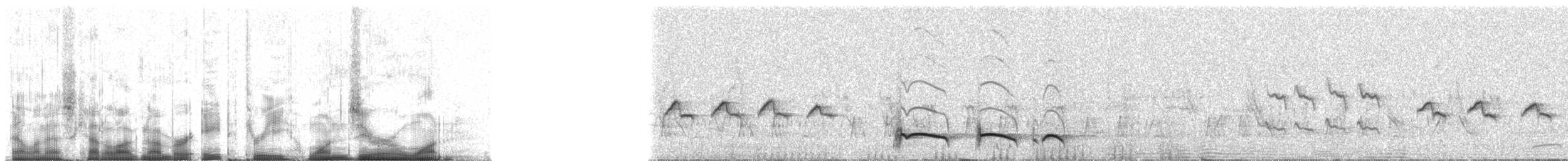 lenivka tečkovaná (ssp. striatipectus) - ML83101
