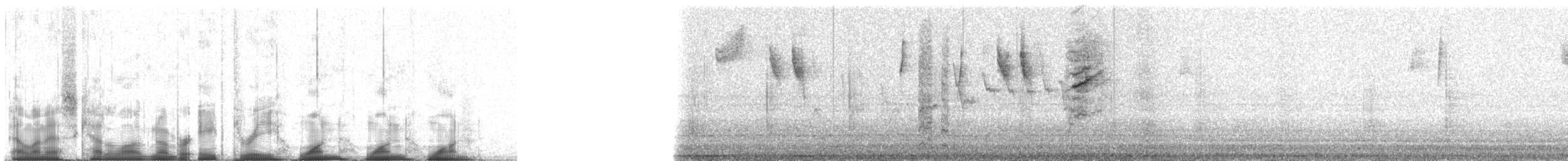 kullkronetanagar (atropileus) - ML83111