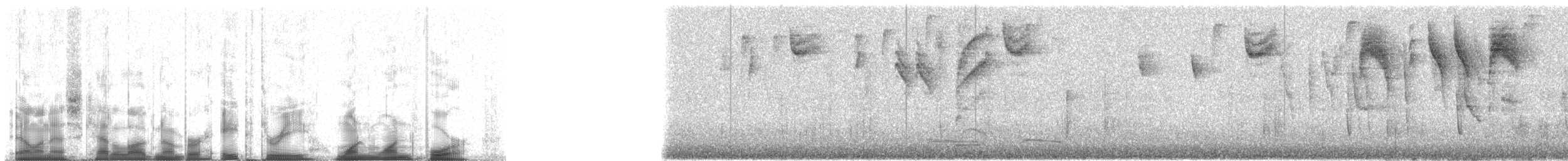 Tangara à calotte noire (atropileus) - ML83114