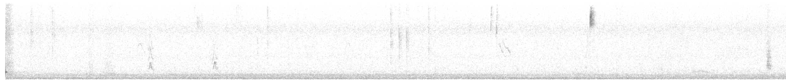 pěnkavice šedohlavá (ssp. littoralis) - ML83114221