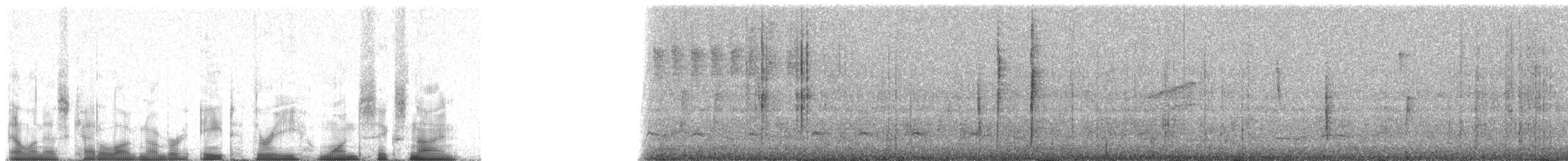 Augenbrauentangare [superciliaris-Gruppe] - ML83169