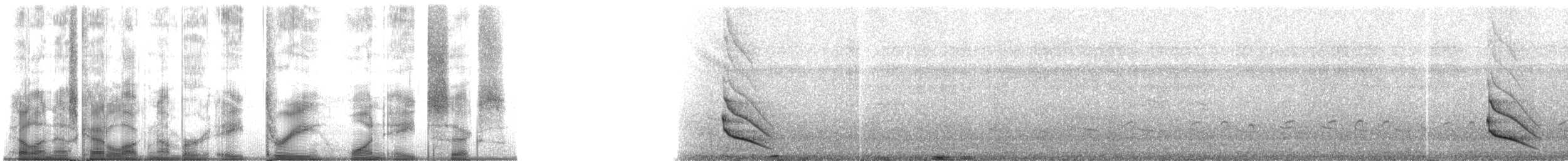 Buff-throated Woodcreeper (Lafresnaye's) - ML83186