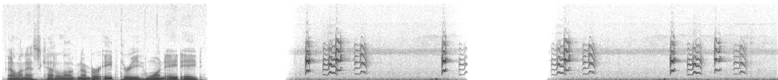 Olive-backed Foliage-gleaner (Olive-backed) - ML83188