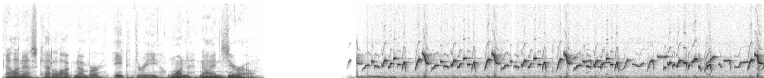 Gray-breasted Wood-Wren (Andean) - ML83190