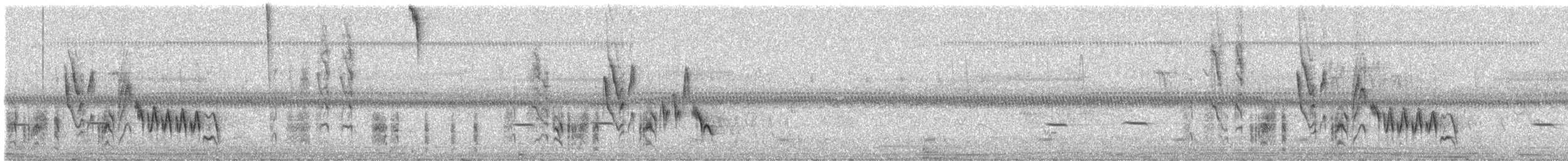 Southern House Wren - ML83200491