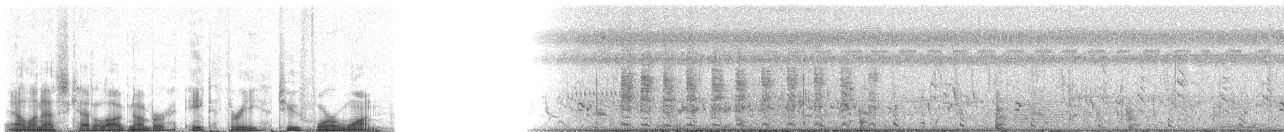 Blaustirn-Blatthühnchen - ML83241