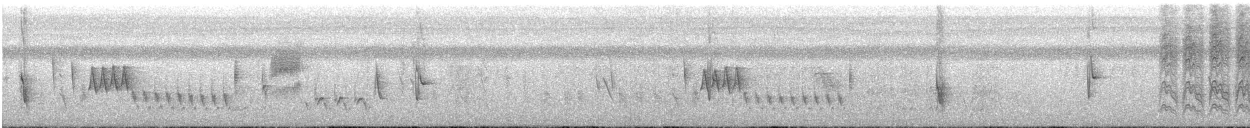 Рисоїд нікарагуанський - ML83280281