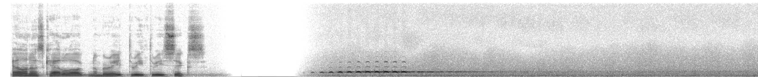 Boreal Owl (Tengmalm's) - ML8336
