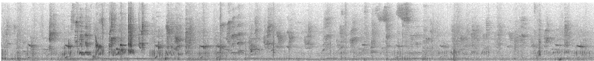 Колібрі-шаблекрил юкатанський (підвид pampa) - ML83407341