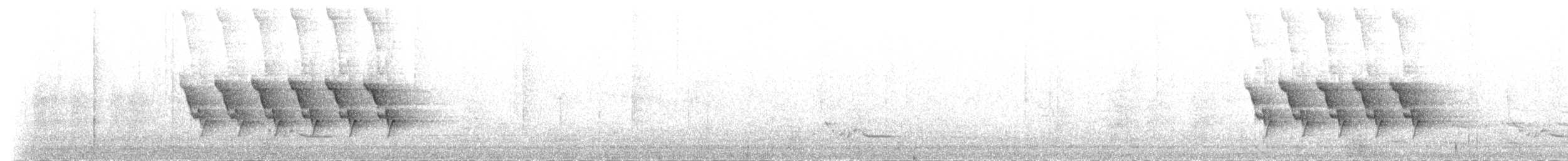Каролинский крапивник (albinucha/subfulvus) - ML83407641