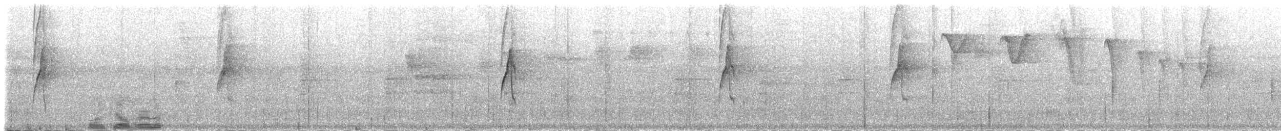 Uzun Gagalı Hermit [longirostris grubu] - ML83416641