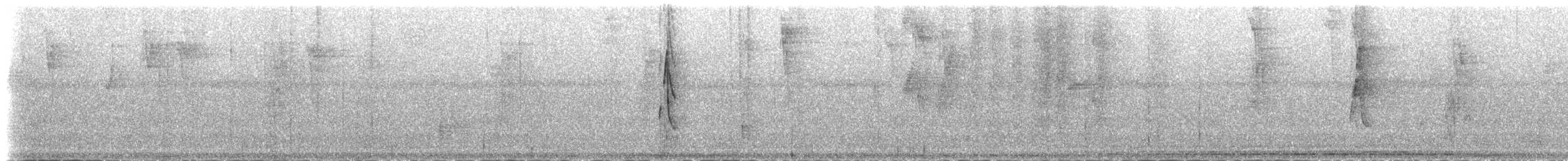 Длинноклювый колибри-отшельник [группа longirostris] - ML83417941