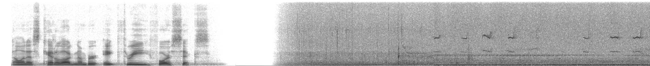 Kulaklı Orman Baykuşu (wilsonianus/tuftsi) - ML8346