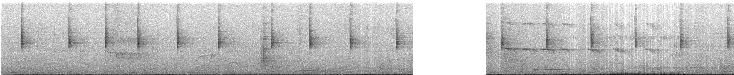 strømparula - ML83476371