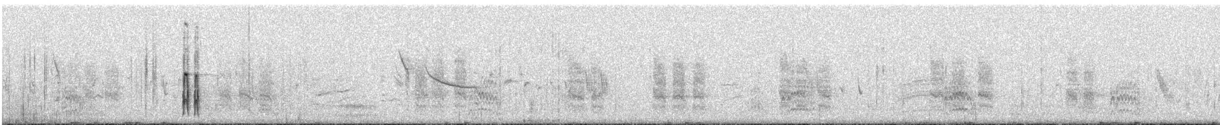 strakapoud bělohlavý - ML83574451