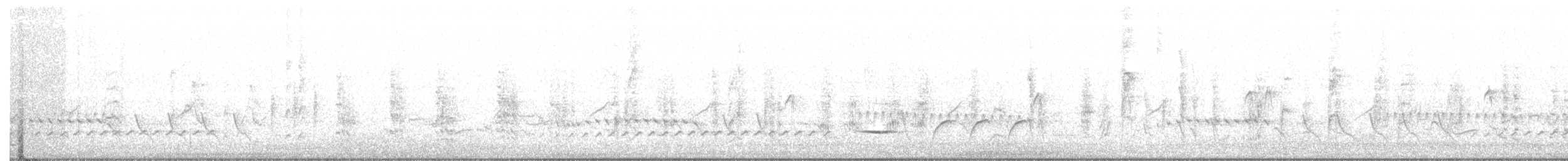 קנית קטנה - ML83699401