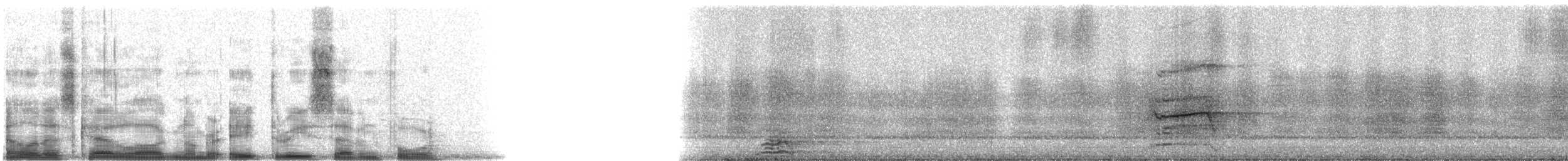 Great Horned Owl - ML8374