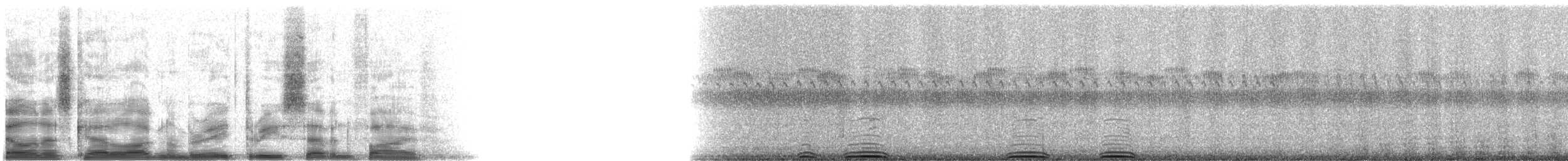 Great Horned Owl - ML8375