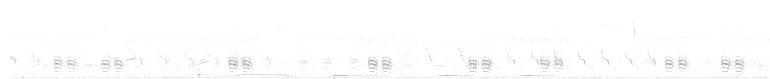 Weißbrustkleiber - ML83774891