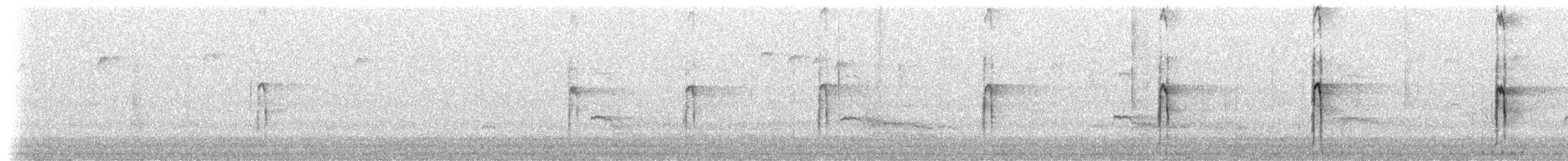 strakapoud americký [skupina villosus] - ML83834331