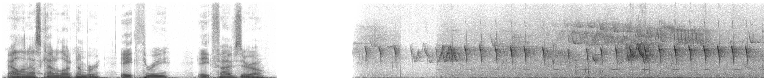 Roststirn-Erdhacker - ML83850