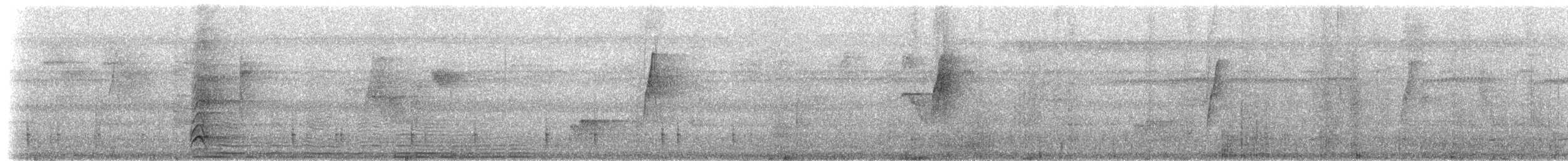 Длинноклювый колибри-отшельник [группа longirostris] - ML83877081