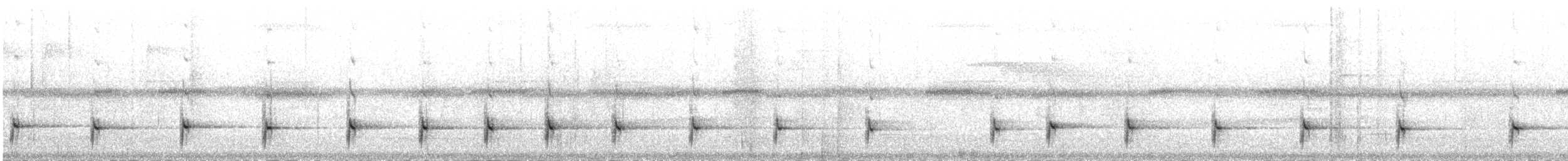 Белогрудый крапивник [группа prostheleuca] - ML83881481